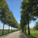 대부매표소앞공중화장실 | 2025 대부포도축제 2일차 따끈따끈 후기! (주차, 화장실, 부스, 행사정보)