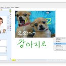 위드솔루션 이미지