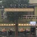 네코라멘야 이미지