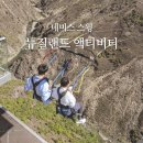 스윙 | 뉴질랜드 액티비티 네비스 스윙 후기 최저가 예약하기