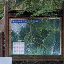 무룡고개~지지터널 | 전북 장안산 무룡고개 억새밭 최단코스