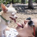 가정1-01-001 이미지