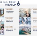 용원중앙내과의원 네이버블로그