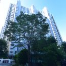 화명동 북부경찰서 내 이미지