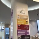 강남 스킨부스터 강남역피부과 포텐자스킨부스터 가격 콜라스터 후기