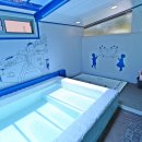 행복 애견방 이미지