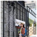 2025.4.10(목) 윤미소님의 북한강 강변 길 벚꽃 이미지