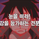 (주)해적아일랜드 이미지