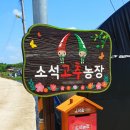 소석농장 이미지