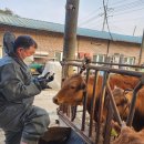 세종공주축협동물병원 이미지