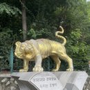 원일화장품 | [인왕산] 초보자 서울산 경복궁역출발 주차 목욕탕 맛집 카페 루트 추천