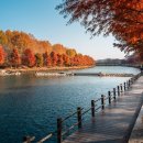 대전 가볼만한곳 베스트10 이미지