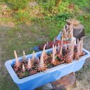 들꽃하우스 이미지