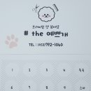 THE예쁘개 이미지