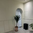 바당고띠 이미지