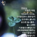 153농장 이미지