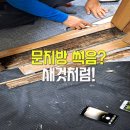 석관동6 | 문지방교체 성북구 석관동 다세대주택 썩지 않는 인조대리석 수리 후기