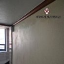크린프랜드 이미지