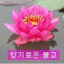 삼신사 이미지