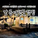 세븐일레븐 사천점 | 강릉 사천글램핑 굿캠핑 후기, 바다 근처 카라반에서 1박 2일