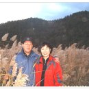 서*기 - 안양시 동안구 관악대로287번길 | 서*기