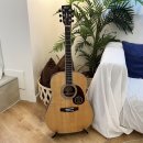 통기타 완전정복 이미지