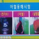 천기염