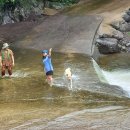 농장다리 이미지