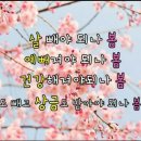 와와점핑다이어트 이미지