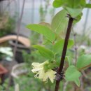 건강농장 이미지