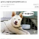 샴푸모텔