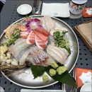 테라스시