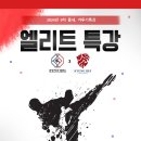 경희대엘리트태권도장 이미지