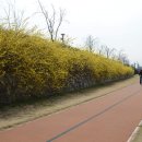 개나리민박 이미지