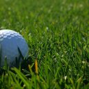 제일스포츠골프연습장 이미지