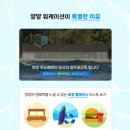 한국공항공사 양양공항 이미지