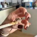 마마펜션 | 주말일상 :: 랩타일페어 군산 후기 키즈카페 마마아쁘 군산 / 완주계곡 곶감펜션 추천