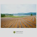 호숫가의 풍경 이미지