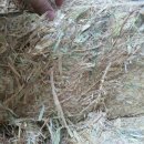 (주) 한중에스에스 이미지