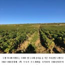 에노테카압구정점 이미지