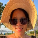 서초연꽃 이미지