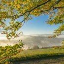 인천인주초등학교 이미지