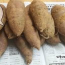 믿음세탁소 이미지