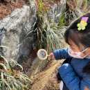 분도유치원 이미지