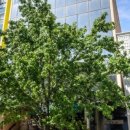 퍼스버거 이미지