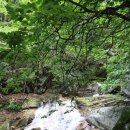 구룡축산 이미지