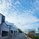 테라 펜션 이미지