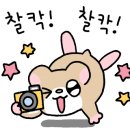 해적왕실내낚시카페 이미지