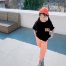 더그레이
