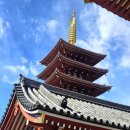 신사-111 | [일본 도쿄] 도쿄 여행 센소지 입장료 시간 아사쿠사 신사 나카미세도리